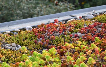 the cost of Knowl Green green roof installation